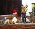 Bild: © CAVALLUNA/CAVALLUNA/obs
Pony Freiheit von Bartolo Messina.