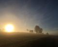 Symbolbild: Laura Gräfenhahn
So schön wie hier in Aschach (Freudenberg) kann Januar-Nebel sein.
