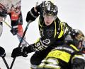 Bild: Hubert Ziegler
Top-Scorer Brendan Walkom (rechts) bleibt dem ERSC Amberg auch in der kommenden Saison 2025/26 treu.