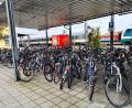 Bild: Barbara Ermisch/exb
Die Fahrradstellplätze am Schwandorfer Bahnhof wurden von Ordnungsamt
und Bauhof auf Vordermann gebracht.