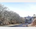 Bild: Portner
Unterwegs auf der Staatsstraße 2159 zwischen Oberviechtach und Niedermurach: Raureif zaubert einen herrlichen Winterblick auf die Burg Murach.