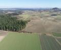Bild: bey
Die Gemeinde Altenstadt/WN ist von der geplanten Errichtung der Windkraftanlagen im Bereich des Marktes Parkstein nicht betroffen.