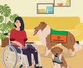 Grafik: Marina Gube
Ein Mobilitätsassistenzhund sorgt zum Beispiel im Alltag dafür, dass das Schuhe anziehen einfacher wird. Die Herausforderung dabei - jeweils ein zusammenpassendes Paar Schuhe zu apportieren.
