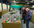Bild: Robert Dotzauer
Die Brieftauben-Ausstellung der Reisevereinigung Pegnitz in der Halle des Kleintierzuchtvereins Speinshart/Tremmersdorf stieß auf ein bemerkenswertes Interesse