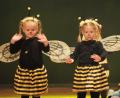 Bild: kek
Die „Minis“ flogen in Biene-Maja-Kostümen zu ihrem Premieren-Auftritt ein.