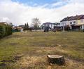 Bild: lum
Etwas trostloser wirkt der Hans-Müller-Spielplatz am Naabberg in Erbendorf nun, da die vier Eichen verschwunden sind.