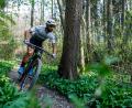Symbolbild: Philipp von Ditfurth/dpa
Mountainbiker nutzen seit vielen Jahren den Südhang des Ochsenkopfes. Der Seilbahn-Neubau hat den Fahrspaß unterbrochen.