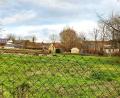 Bild: do
Ein Kräutergarten in der Gartenstraße: Das passt im Wortsinn gut zusammen. Auf dem Wiesengelände in Oberbibrach sollen die Besucher künftig Wissenswertes besonders über die Welt der Heilkräuter erfahren.