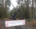 Bild: rn
Der Sicherheit von Waldspaziergängern dient ein neues unübersehbares Hinweisschild