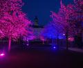 Bild: Lucas Distler/exb
Lucas Distler verwandelt den OTH-Campus am Samstag, 12. April, in eine House-Wunderlandschaft.