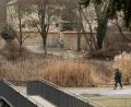Bild: Wolfgang Steinbacher
Still ruht das inzwischen Goldfisch freie Nicht-Biotop im Amberger Stadtgraben. Der Stadtrat hat sich am Montag erneut mit dem Umbau zum Wasserspielplatz befasst.