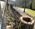 Bild: Gabi Schönberger
Drei größere Bäume und mehrere Büsche wurden Ende Januar entlang der Kreisstraße 29 bei Mitterhöll gerodet. Dabei handelt es sich um Vorarbeiten zur geplanten Hangabsicherung an dieser Stelle.