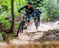 Symbolbild: Philipp von Ditfurth/dpa
Mountainbiken ist im Trend. Nun will sich auch der Markt Tännesberg an der Errichtung neuer Trails beteiligen.