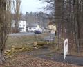 Bild: tss
Am Montagvormittag sind entlang der Mühlbühlstraße acht Pappeln gefällt worden. Während der Arbeiten war die Straße immer wieder zeitweise komplett gesperrt.