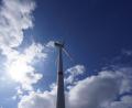 Bild: Marcus Brandt/dpa
Streit um Windkraft an der Grenze