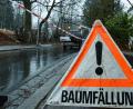 Bild: Stephan Huber
In Amberg wird am Dienstag, 18. Februar, der obere Teil des Mariahilfbergweges gesperrt. Mit den Arbeiten war bereits am Donnerstag, 13. Februar, begonnen worden.