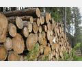 Symbolbild: ge
Die Forstbetriebsgemeinschaft (FBG) Amberg-Schnaittenbach vermarktete im vergangenen Jahr fast 140.000 Festmeter Holz.