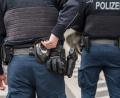Bild: Jacob Maibaum - Referat 66, Jacob Maibaum - Referat 66
Die Bundespolizei griff zu den Handschellen, um die Frau zu sichern.