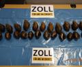 Bild: Zoll
Der Nürnberger Flughafenzoll fand 23 Afrikanische Riesenschnecken im Gepäck eines Reisenden.