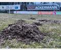 Bild: Gabi Schönberger
Der Fußballplatz des ASV Neustadt gleicht derzeit eher einem Acker.