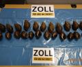 Bild: picture alliance/dpa/Zoll
Zollbeamte fanden im Gepäck eines Flugreisenden in Nürnberg diese 23 Afrikanischen Riesenschnecken. Die Schnecken wurden von den Zollbeamten erstmal mit Obst versorgt und gewärmt.