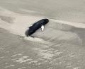 Bild: -/Citynewstv/dpa
Der tote Buckelwal liegt im Sand in einer Senke.