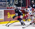 Bild: Werner Moller
James Hardie (vorne) erzielte bei seinem Heimdebüt für die Blue Devils zwei Tore. Die Weidener gewannen mit 5:2 gegen den EV Landshut und sichern sich somit Heimrecht in den Per-Play-offs.