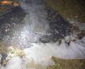 Bild: Polizeiinspektion Amberg
Nachdem ein Unbekannter ein Brautkleid aus einem Keller in Amberg geklaut hat, entdeckten Polizisten am Donnerstagabend das verbrannte Kleid auf einem Bolzplatz.
