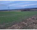 Bild: Gottfried Blank/exb
Auch für den Solarpark Pischeldorf Süd gab der Gemeinderat Pirk grünes Licht.