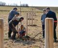 Bild: Petra Hartl
Die Grundstückseigentümer Martin Vanselow (von links) und seine Ehefrau Andrea Sperber sowie der Ranger des Naturparks Hirschwald, Jonas Nelhiebel, pflanzen mehrere Obstbäume. Sperbers Neffe Max Bahr und Sohn Adrian Vanselow packen auch mit an.