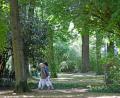 Archivbild: Gabi Schönberger
Wie lässt sich Weiden (hier der Max-Reger-Park im Sommer) am besten vor starker Hitze schützen? Dazu etwa könnte der Bürgerrat Ideen liefern.