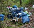 Symbolbild: bkr
Illegale Müllablagerungen – wie hier auf dem Symbolbild – waren jetzt ein Thema im Stadtrat Mitterteich.