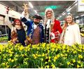 Bild: lg
Doktor Eisenbarth hat auch die Marionetten Hagebutt und Satyr mitgebracht, die einem Bad in der gelben Blütenpracht der Narzissen nicht widerstehen können.