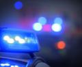 Bild: Karl-Josef Hildenbrand/dpa
Die Polizei hat einen Mann dingfest gemacht, der einen illegalen Autoverkauf betrieben hat.