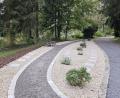 Bild: vsr
Nur noch ein kleiner Teil der Urnengräber auf dem Waldfriedhof in Krummennaab wird an auswärtige Anfragen vergeben.