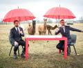 Bild: Benedikt Müller/Joyn/dpa
Joko Winterscheidt und Klaas Heufer-Umlauf moderieren ihre neue Show „Ein sehr gutes Quiz (mit hoher Gewinnsumme)“.