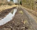 Bild: Gabi Schönberger
Links Biotop, rechts Pfad. Dazwischen ein Bächlein, dessen Wasser eigentlich das kleine Feuchtgebiet zwischen Bahndamm und Waldnaab in Neustadt/WN speisen sollte. Doch da kommt es nicht mehr hin. Für Rohrsänger und Haselmaus ist das buchstäblich ein existentielles Problem, für Fußgänger immerhin noch ärgerlich.
