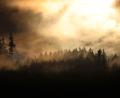 Symbolbild: Karl-Josef Hildenbrand/dpa
Hinter Regenwolken und aufsteigendem Nebel geht hinter einem Wald die Sonne unter.
