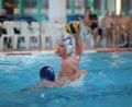 Archivbild: Dieter Jäschke
Gleich zwei Mal geht es für Thomas Kick (am Ball, Szene aus einem früheren Spiel) und die Weidener Wasserballer am kommenden Wochenende gegen Fulda.