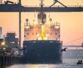 Bild: Sina Schuldt/dpa
Das Spezialschiff „Pacific Grebe“ mit sieben Castor-Behältern an Bord legt im Hafen an.