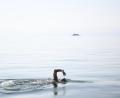 Bild: Oliver Halder
Hier schwimmt Rouven Oeckl im Bodensee - eigentlich ist er aber kälteres Wasser gewohnt. Seit einiger Zeit hat sich der ehemalige Triathlet dem Eisschwimmen verschrieben und trainiert im eigenen Gartenpool auf sein großes Ziel hin.