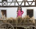 Bild: Elisabeth Wiesner
Im Freilandmuseum Oberpfalz gibt es für Kinder viel zu erleben.