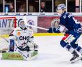 Archivbild: Tobias Neubert
Auch dank Ilya Sharipov (weißes Trikot, Szene aus dem Spiel gegen die Blue Devils) stehen die Ravensburg Towerstars nach dem 5:3 in Krefeld kurz vor dem Finaleinzug.