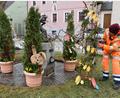 Bild: ubb
Gärtnerin Rosemarie Rahn von der Stadtgärtnerei kümmert sich mit ihren Mitarbeiterinnen um den Heimatbrunnen auf dem Luitpoldplatz und um den Tuchmacherbrunnen auf dem Unteren Marktplatz. Der Jugendstadtrat hängt an den Heimatbrunnen danach noch ein paar Holz-Ostereier.