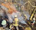 Bild: Kreisbrandinspektion Cham
Waldbrand unterhalb des Gipfels des „Zwirenzl“ bei Waldmünchen