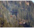 Archivbild: Karl-Josef Hildenbrand/dpa
Die Waldbrandgefahr ist hoch.