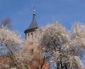 Bild: Fred Lehner
Eine riesige Blütenwolke umrankt das Gotteshaus und den Kirchturm von St. Johannes Baptista.