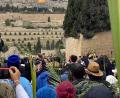 Bild: Abtei Dormitio
Erinnerung an den Einzug Jesu in Jerusalem: Christen halten bei der Palmsonntagsprozession am Ölberg Palmwedel in die Höhe, dahinter ist die Skyline von Jerusalem zu sehen.
