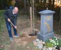 Bild: jr
Herbert Bauer pflanzte in Erinnerung an die Toten eine Säulenbuche beim Gedenkstein.