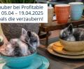 Bild: BHS tabletop AG
Die BHS tabletop AG startet mit einer tollen Osteraktion in den Frühling.